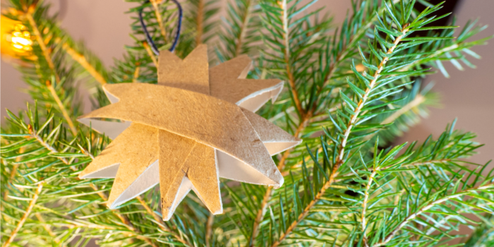 Stefanie Lechthaler Stefanie Lechthaler