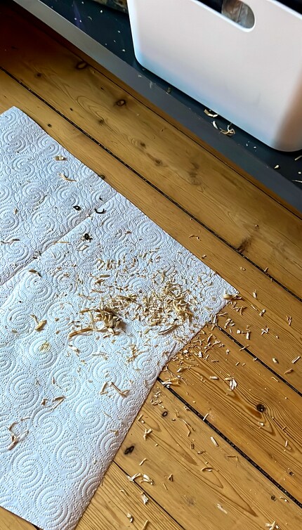 Lots of parakeet droppings