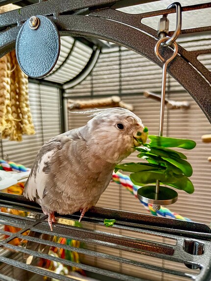 Spinach munch: Kan iemand Rio alsjeblieft een servetje geven?