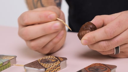 No chestnut hedgehog for me today.