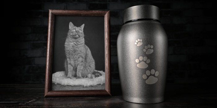 Lightspruch/Shutterstock