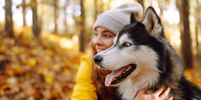 Shutterstock: maxbelchenko