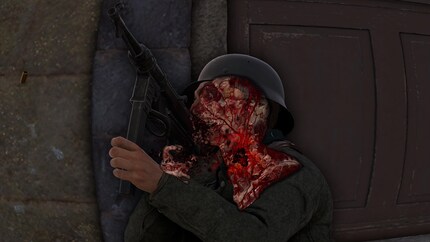 … then X-ray view.