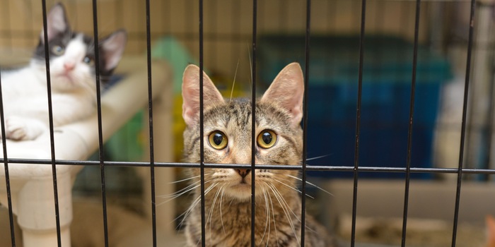 JW Design/Shutterstock