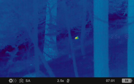 Schmaltier am Lager mit 2.5-facher ...