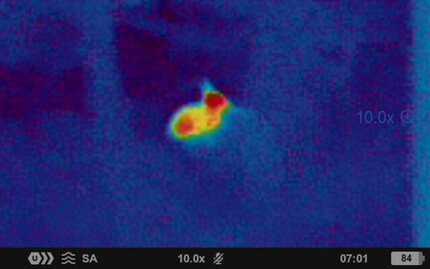 ... und 10-facher Vergrösserung.