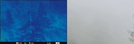 Durch den Nebel sehen mit dem TELOS XL50 (links: Wärmebildgerät, rechts: Foto).