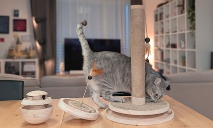 Co-critic Robin carrying out a painstaking inspection of our sample toys.