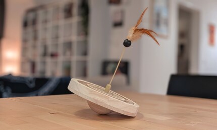 Combining a feather, a scratching surface and a marble run into one toy is actually a pretty neat idea. Will my cats like it too?