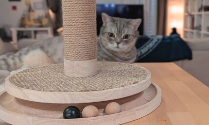 It’s been a while since I’ve seen such a stylish scratching post. Well done, Design by Lotte.