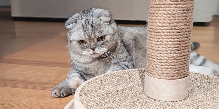 Luca Fontana Luca Fontana