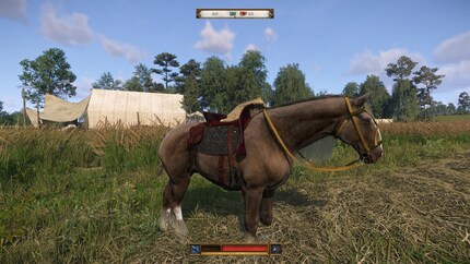 Le cheval est aussi une bête de somme. Cependant, lors des courses, une selle lourde est un inconvénient.