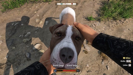 Le cabot est un fidèle compagnon, mais vous devez d'abord le trouver.