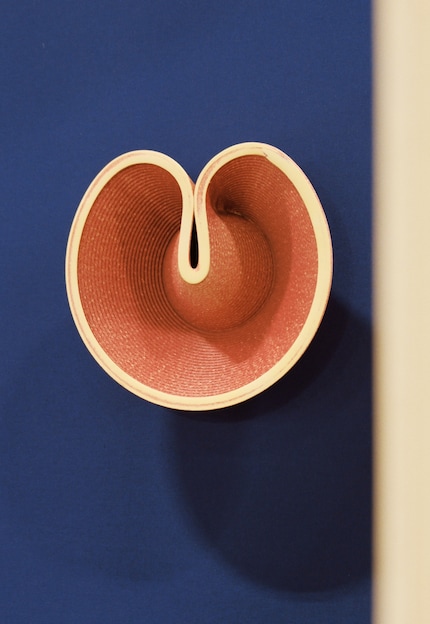 ... e possono essere utilizzati sia all'interno che all'esterno.