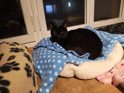 Leelo’s intense gaze hits me right in the feels. She and Melody are an unbeatable team.