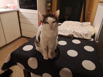 Melody squints her eyes: a sign of friendly contact.