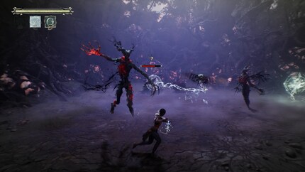 Les combats se déroulent dans de petites arènes fermées.