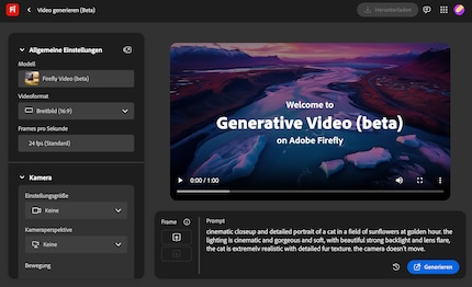 So sieht der Web-Videogenerator aus.