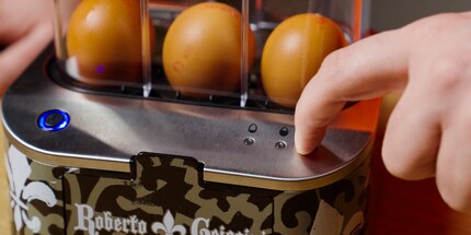 Ha un solo pulsante.