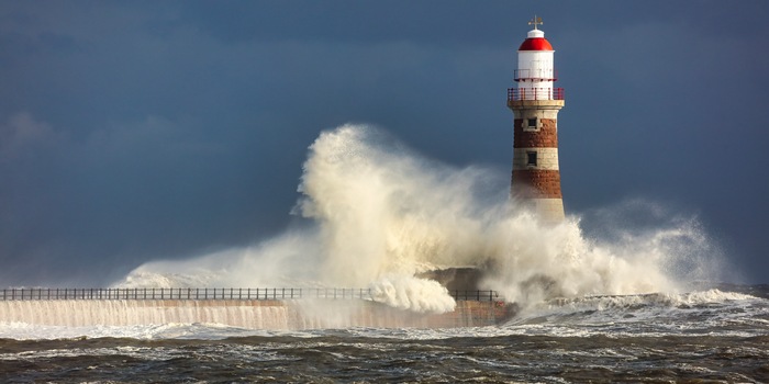 Colin Ward / Shutterstock