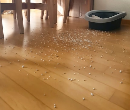 The way Joy digs, she should be emerging in the southern Pacific soon.