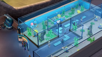 Bei der Gestaltung und Größe der Aquarien habe ich fast völlig freie Hand.