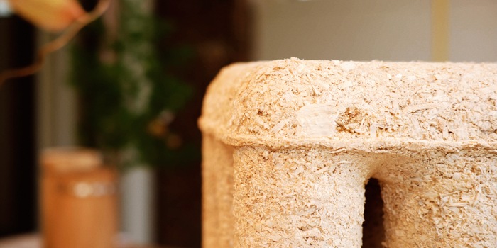 Pia Seidel Pia Seidel