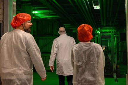 Il magazzino di materie prime ha un aspetto inquietante nella luce verde e fioca.