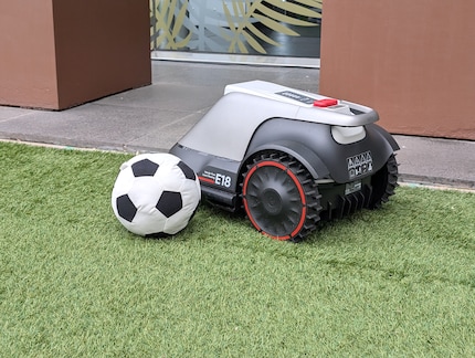 Il robot evita automaticamente gli ostacoli grazie a telecamere e sensori.