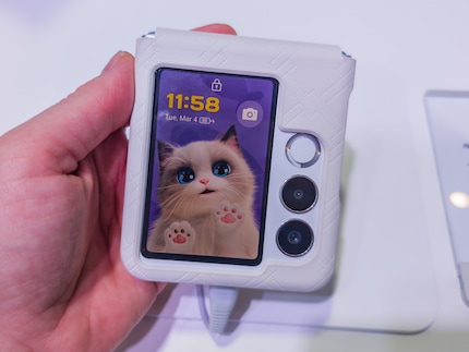 The Nubia Flip 2 in an elegant case. The cat is simply cute.