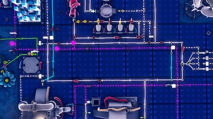 All young ants are directed to the white circuit in the centre. From there, you send them to their destinations using square box gates (only certain castes) and counting gates (white bars).