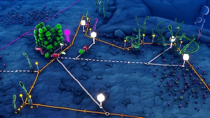 I use cube-shaped transport gates to check whether an ant is carrying anything and send such ants to the camp via a shortcut.