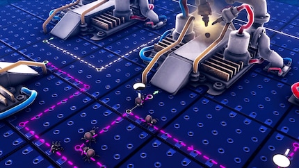 These old ants are headed into a recycling loop, waiting to be transformed.