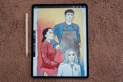 Bei Procreate auf dem iPad Air (M3) kann ich fast metergrosse Leinwände malen.