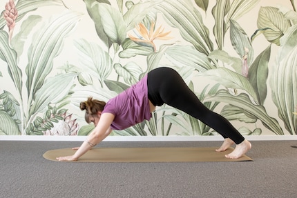 The slipping dog: my hands are sliding and I’m struggling to keep my balance.