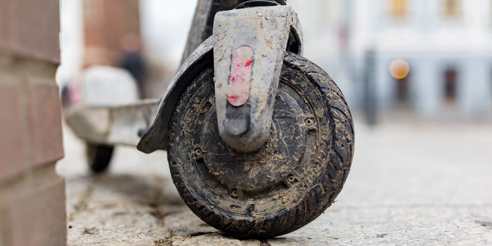 Shutterstock Shutterstock