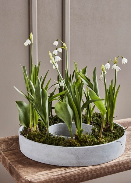 Ein Schale, die einst einen Adventskranz beherbergte, wird jetzt kreativ zum Osterkranz umfunktioniert.