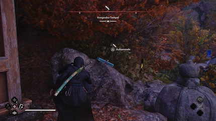 Het steeds opnieuw verzamelen van dezelfde voorwerpen in heiligdommen gaat al snel vervelen.