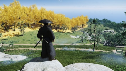 «Hoe kleurrijk moet het spel zijn?» Sucker Punch: «Ja».