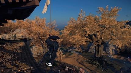 Jin kan klimmen, maar slechts in beperkte mate.