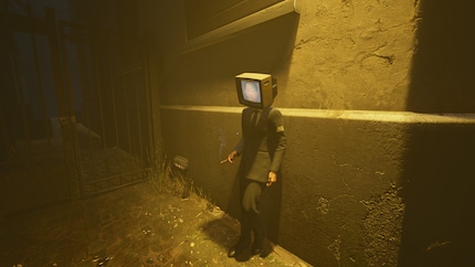 Time and again, I come across people with a tube TV instead of a head.