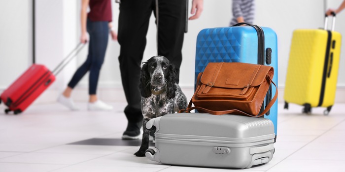 Afrika Studio/Shutterstock Afrika Studio/Shutterstock