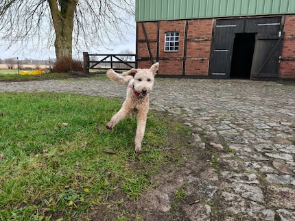 La prise de vue en rafale est idéale pour les sujets rapides.