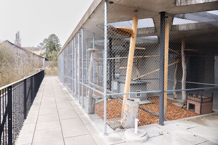 A piece of heaven: plenty of fresh air and daylight in the outdoor area.