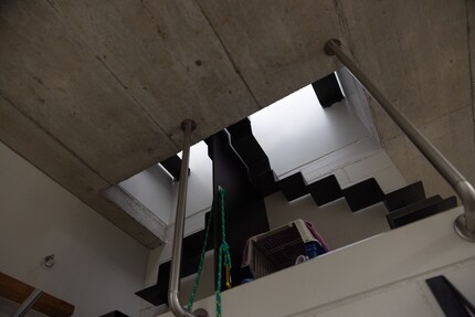 Stairway to heaven? Almost. The cat ladder up to the roof.