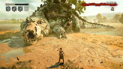 Snappi, the little crocodile has grown quite big.