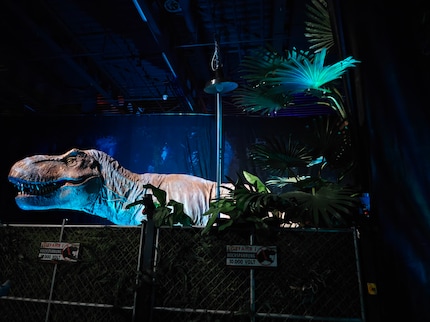 J'ai pris en chasse un T-Rex dans l'obscurité. Il est un peu flou quand on le regarde de plus près. Mais j'aime bien l'image sur mon smartphone.