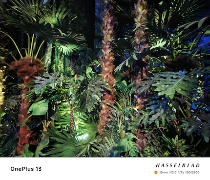 Si je le souhaite, je peux ajouter des filigranes aux photos et les supprimer facilement.