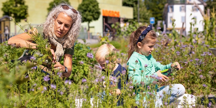 Bioterra / Isabel Plana Bioterra / Isabel Plana