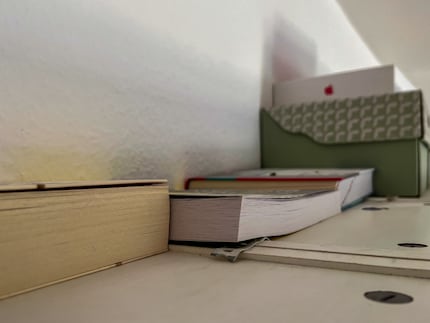 Non bella, ma utile: la mia libreria ora è a prova di uccelli.
